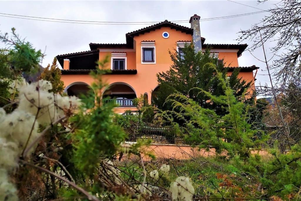 Villa Tethys Mountain Resort Zákas Exterior foto