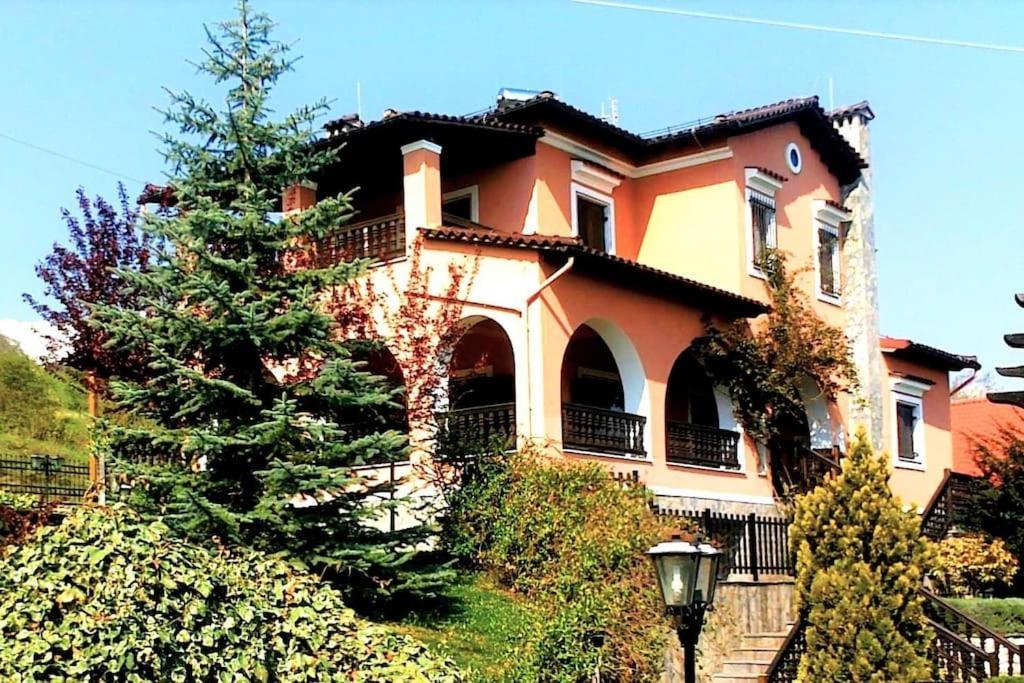 Villa Tethys Mountain Resort Zákas Exterior foto