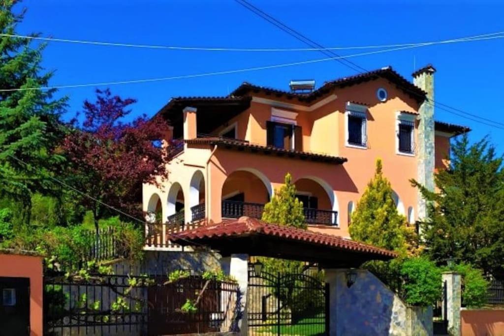 Villa Tethys Mountain Resort Zákas Exterior foto