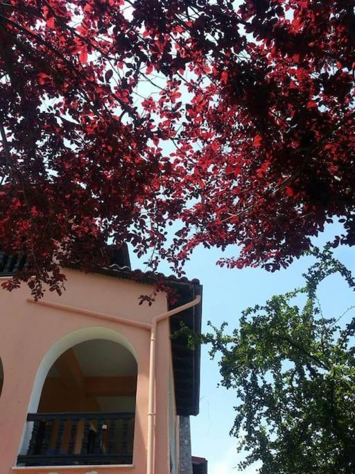 Villa Tethys Mountain Resort Zákas Exterior foto