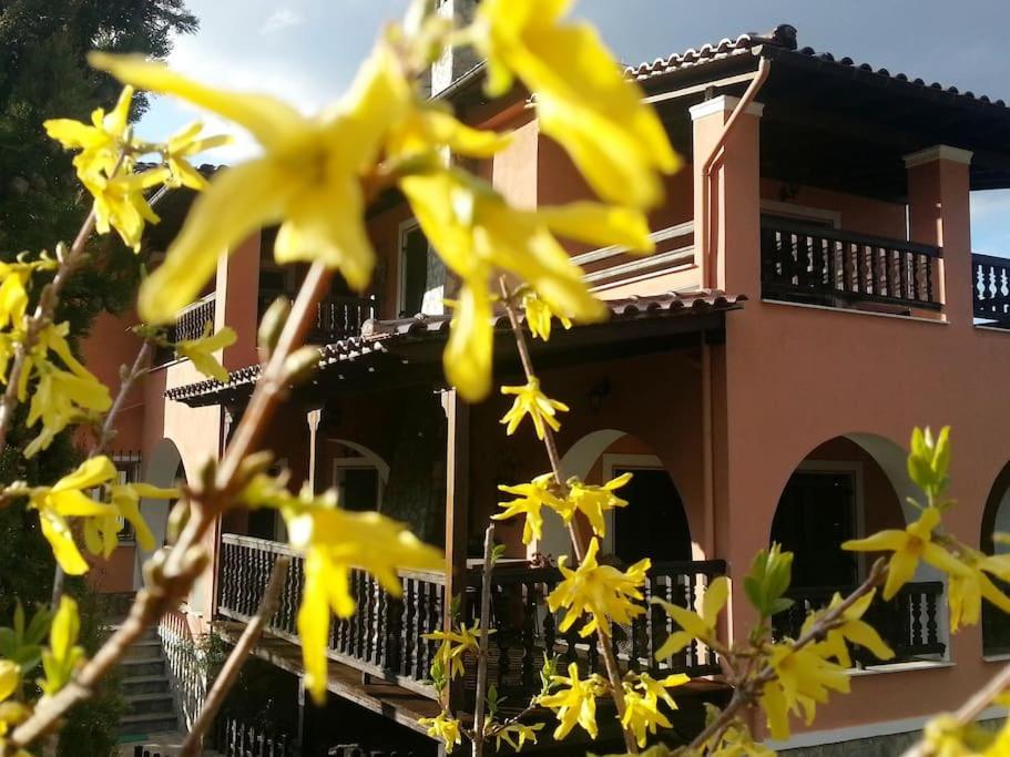 Villa Tethys Mountain Resort Zákas Exterior foto