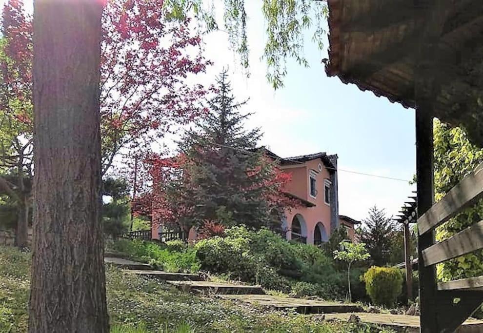 Villa Tethys Mountain Resort Zákas Exterior foto