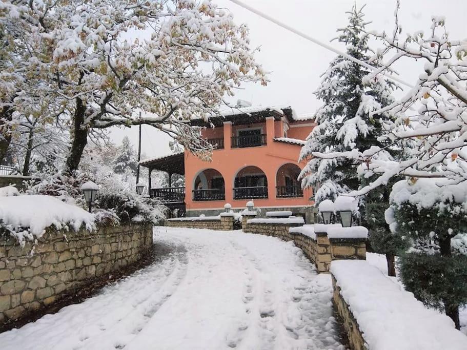 Villa Tethys Mountain Resort Zákas Exterior foto